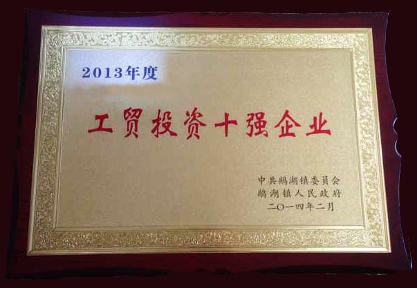 2013年度工貿投資十強企業